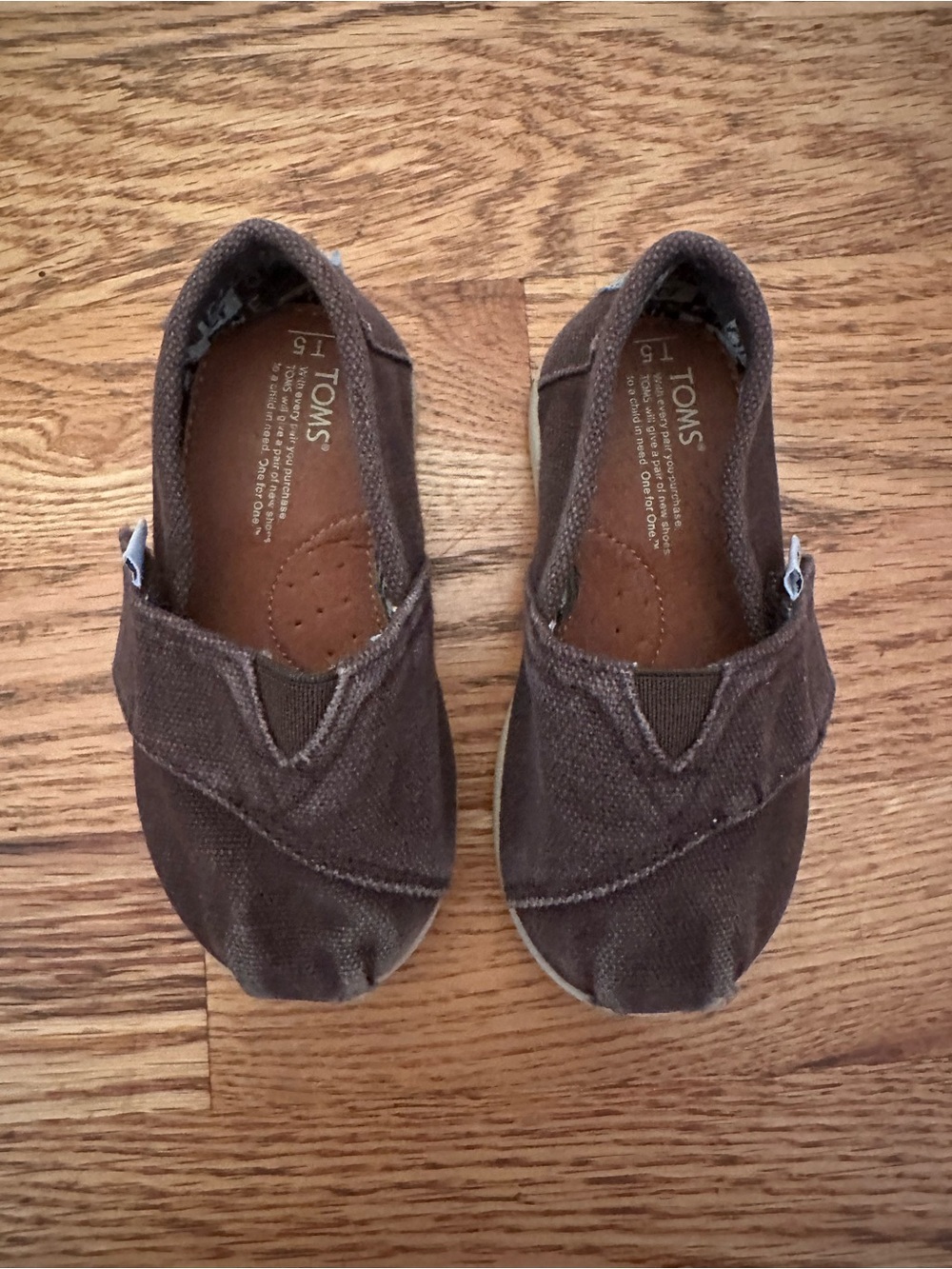 Brown Tom Slip on sneakers